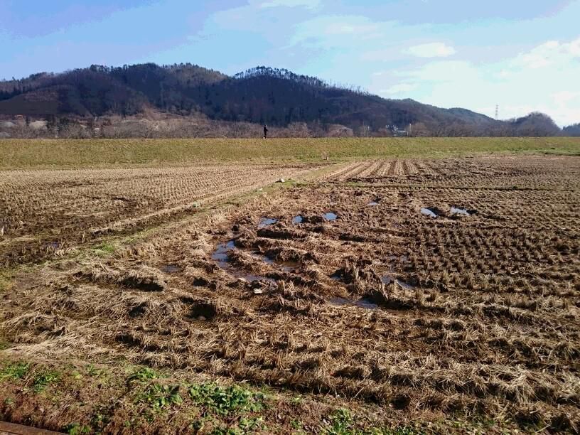 友が逝く　冬至の空を　突き抜けて