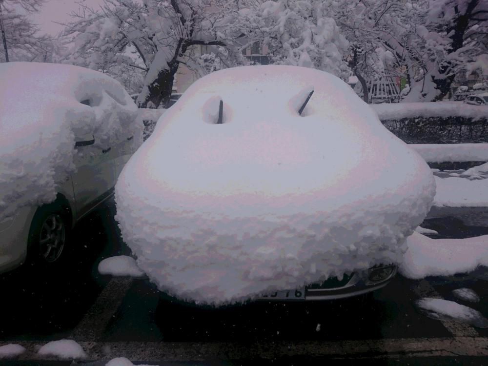 あちこちに　危機的な顔　雪の中