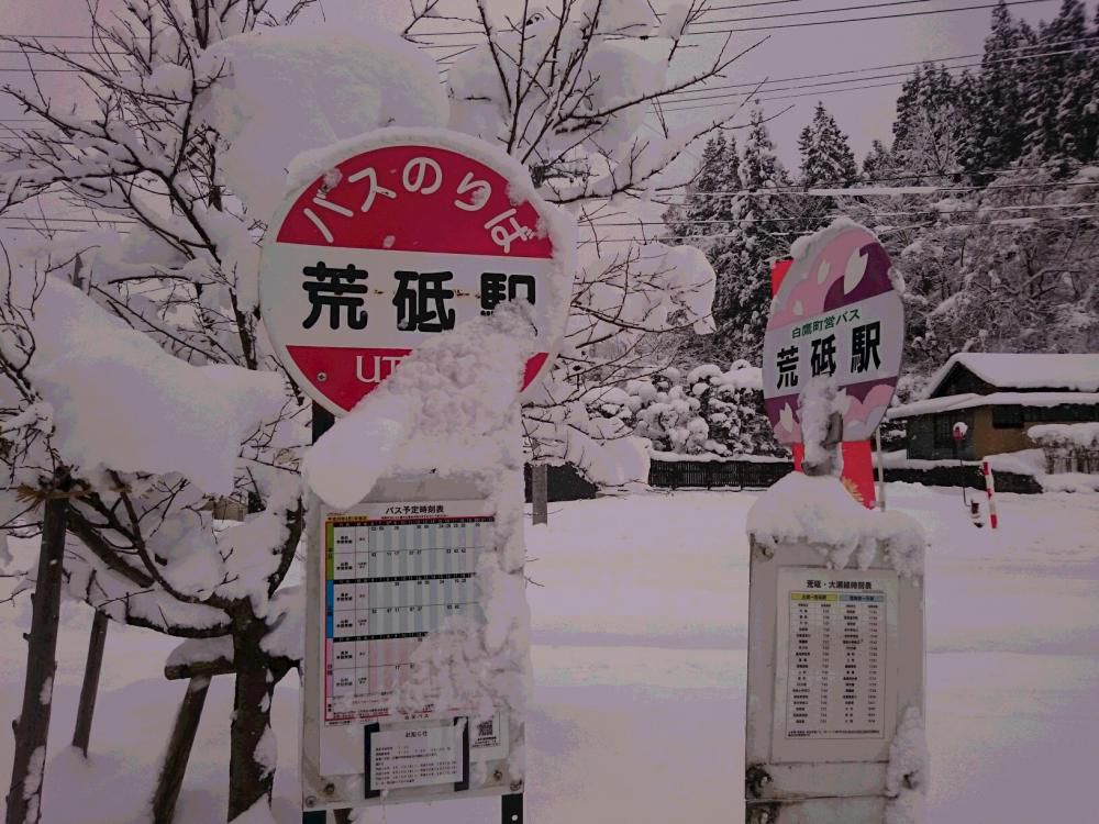 白鷹は　日本の紅（あか）を　つくる町