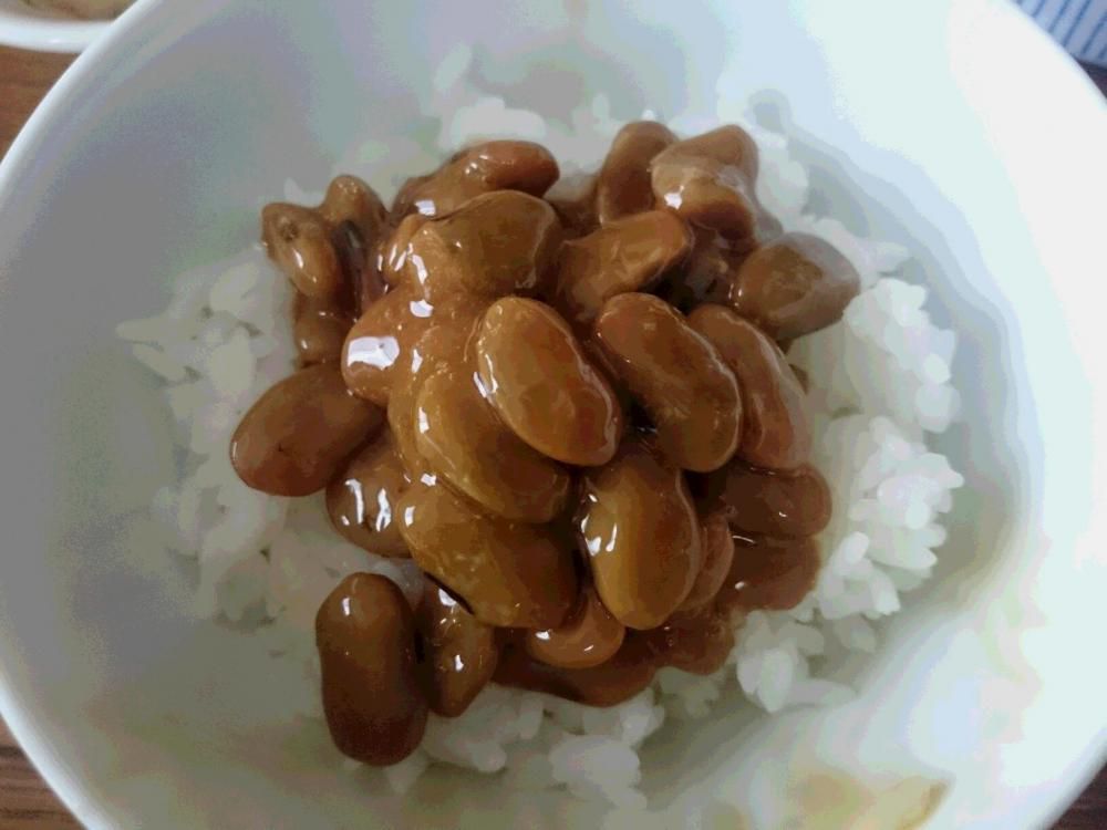 これも良し　馬のかみしめ　冷ややっこ