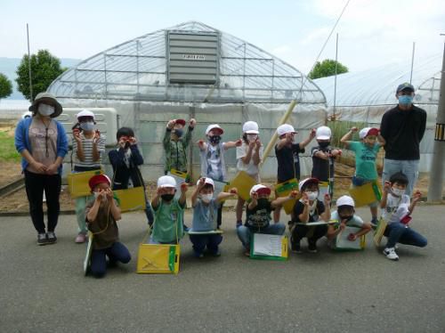 平井さんのミニトマトハウス見学！！