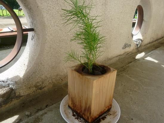 体験を学びに・・・