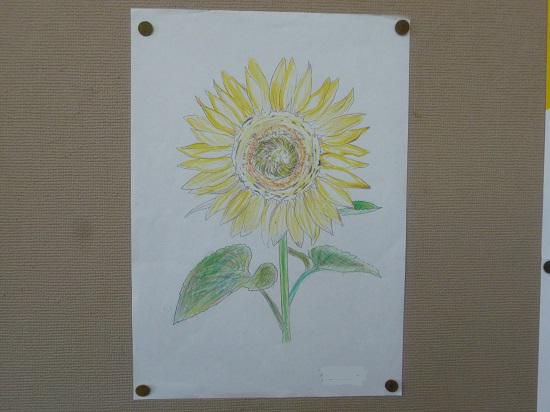 夏休みに向けて・・・