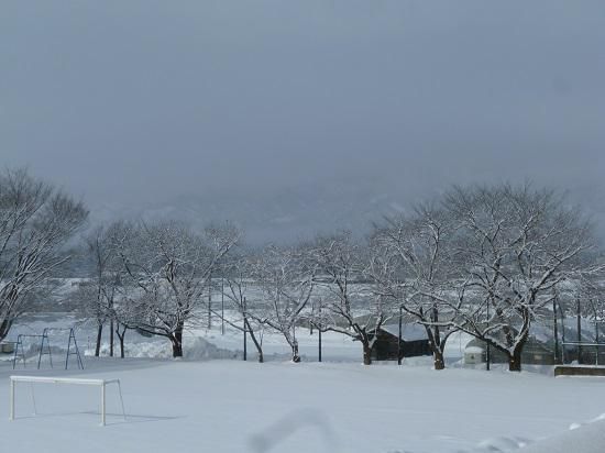 雪の晴れ間に・・・
