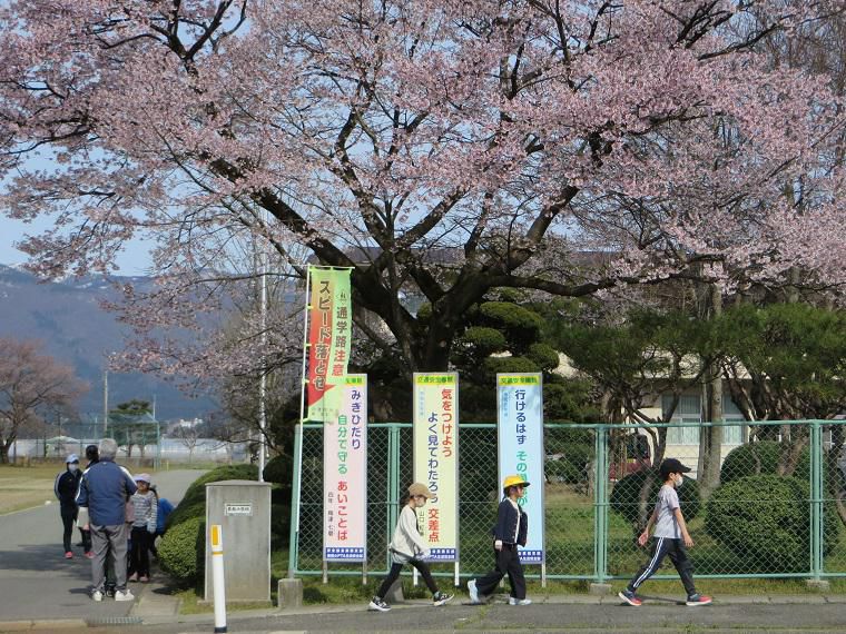 大事な命を守るために