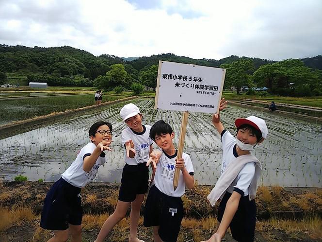 米作り体験学習スタート！