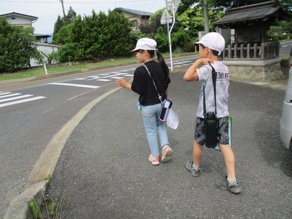 かわいい探検隊