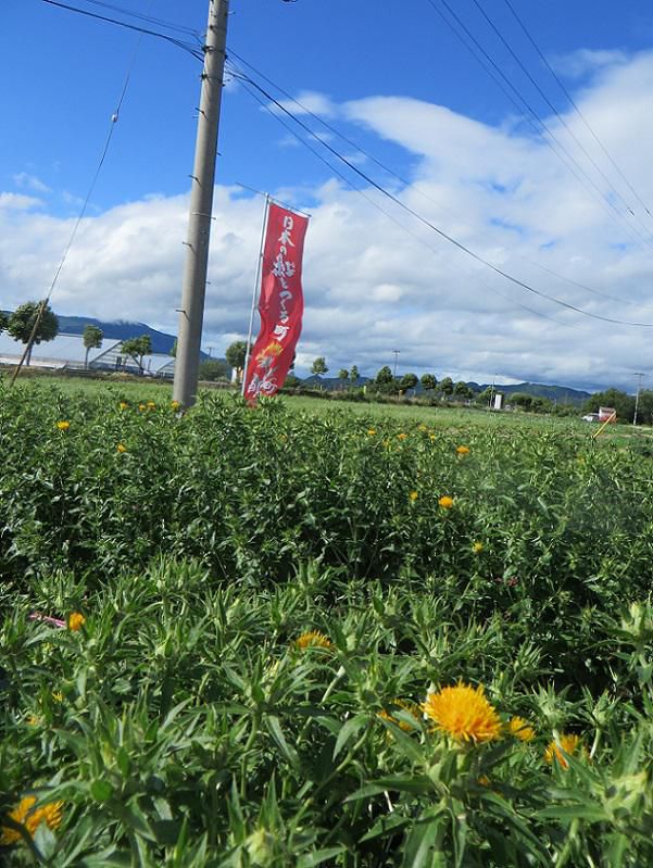 着衣泳～水難から大切な命を守る～