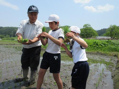 泥の感触をたのしみながら・・・
