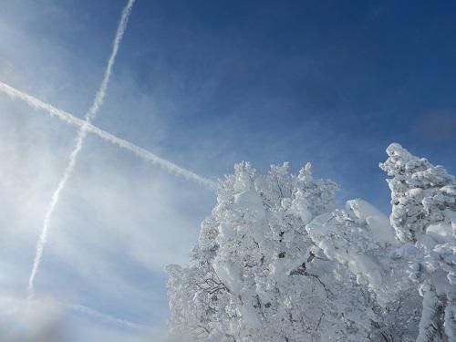 最高の青空のもとで~6学年蔵王スキー~