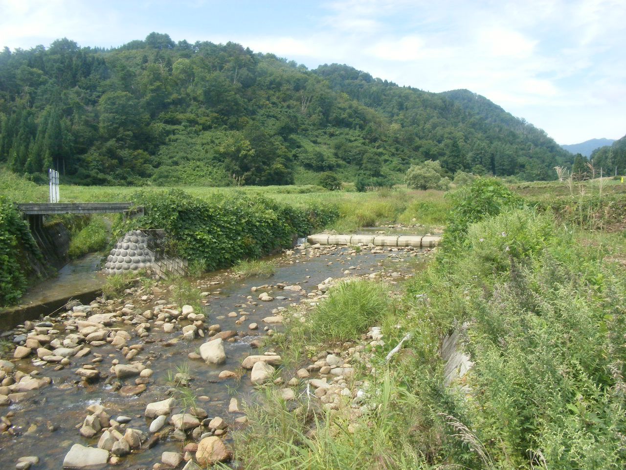 平成26年度(明許)河川整備単独事業(災害防除・9月補正)萩生川護床工事