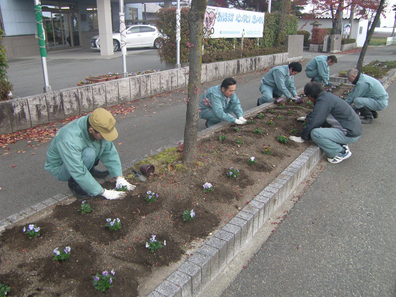 2016秋　花植え