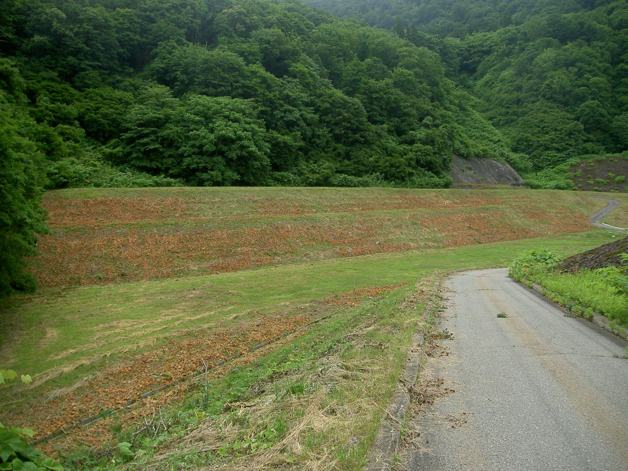 白川ダム維持工事