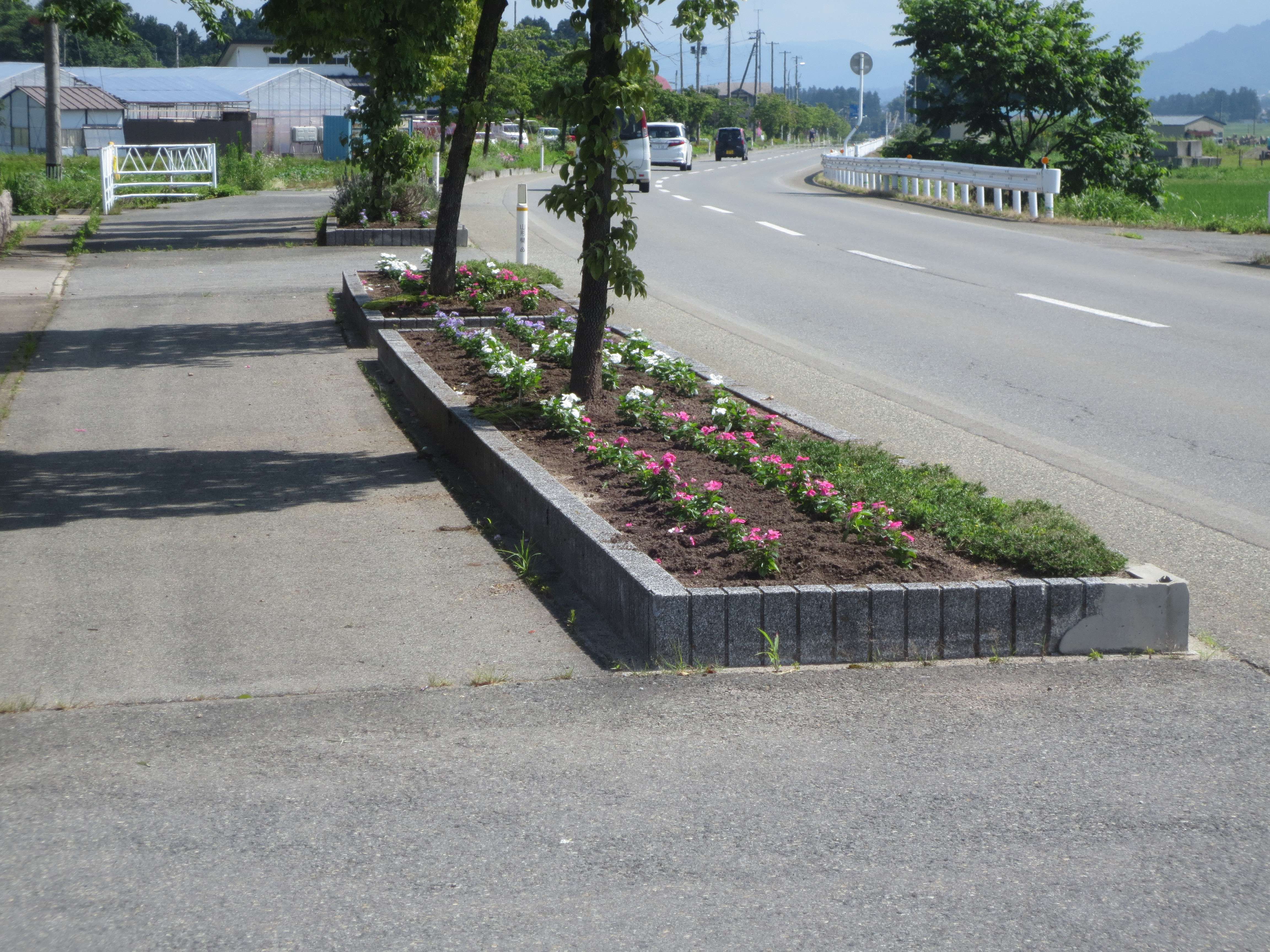 花壇緑化