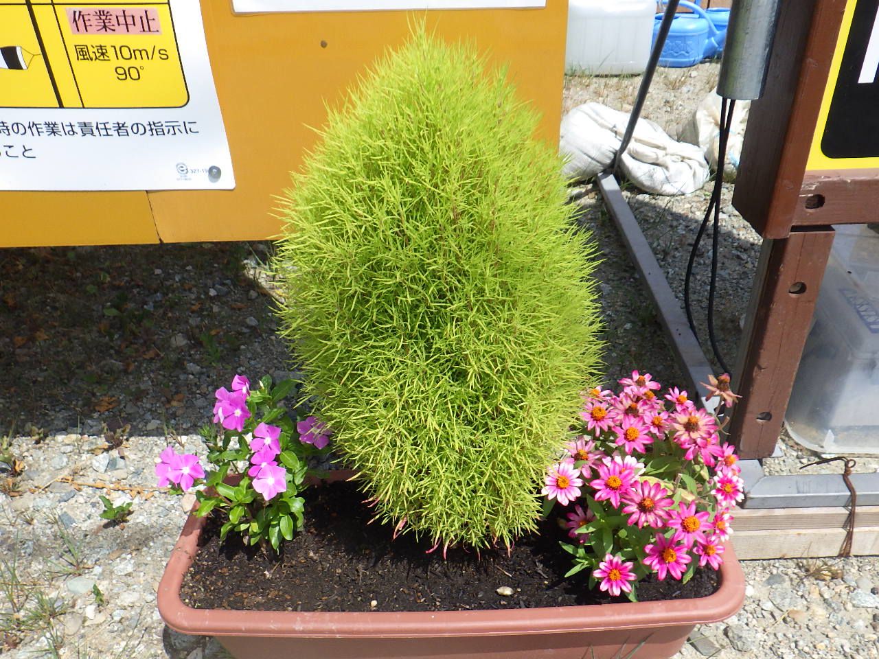萩生川護岸工事