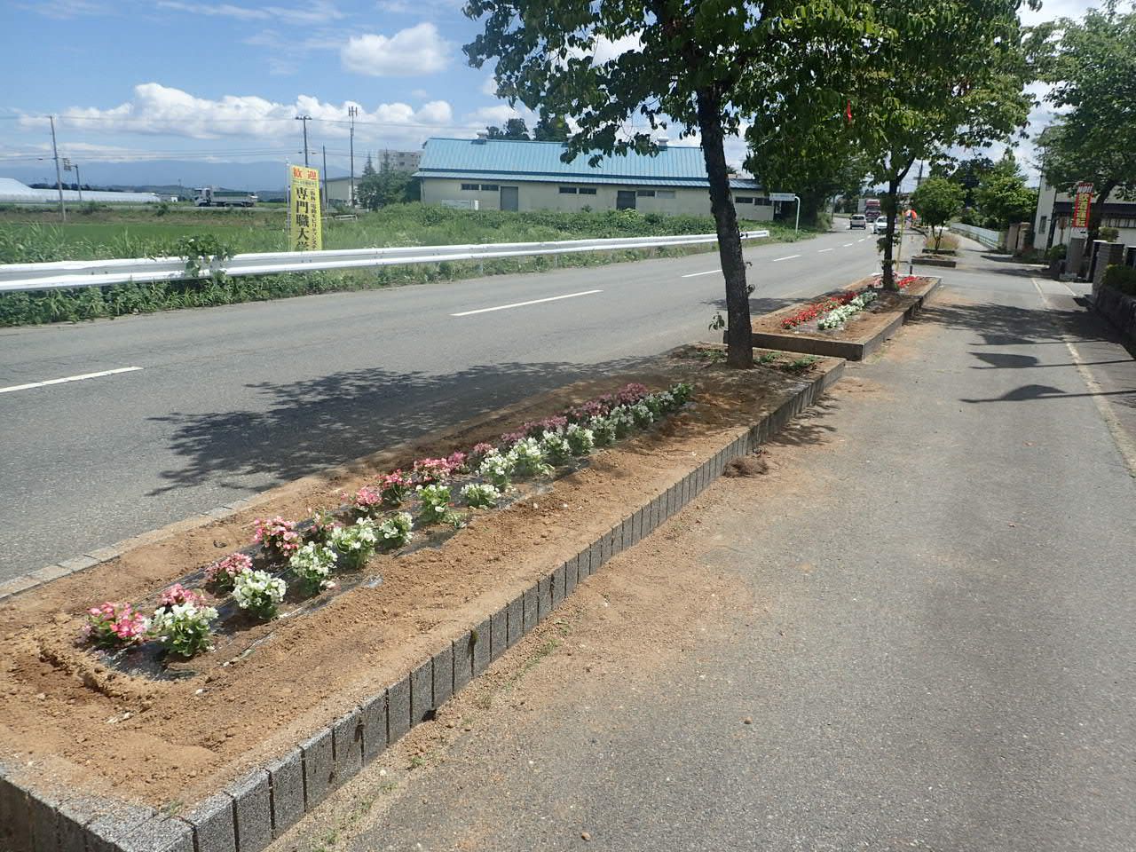 花壇植栽2022