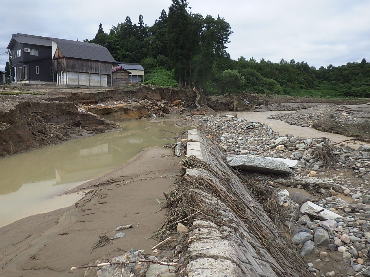 【小白川】大巻橋上流付近
