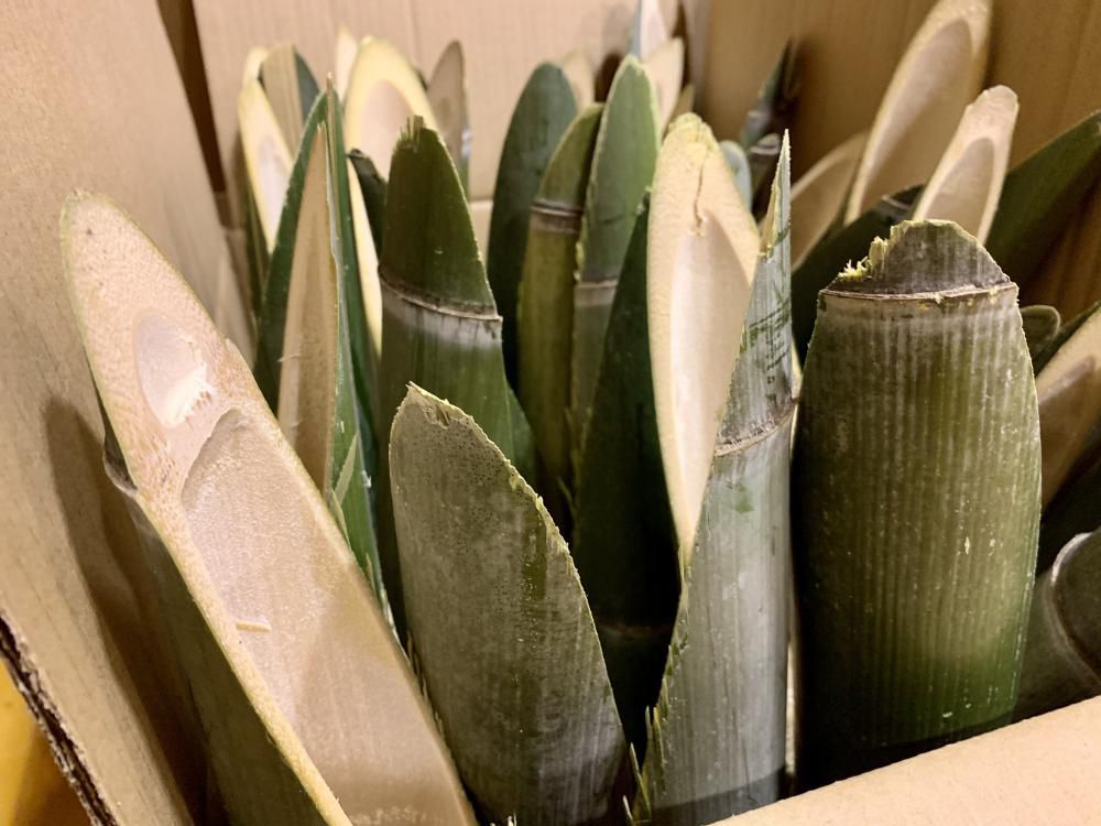 門松づくり教室準備作業