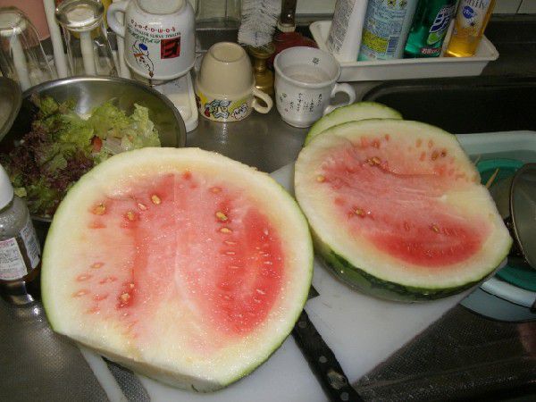 ところがっ！！