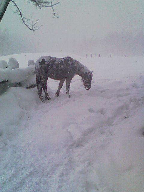 吹雪になんて負けない！
