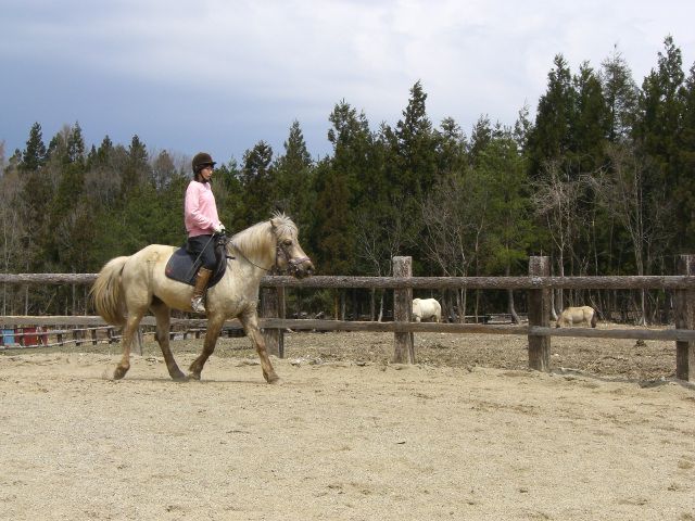 ひらすび牧場より…乗馬でGO!!!