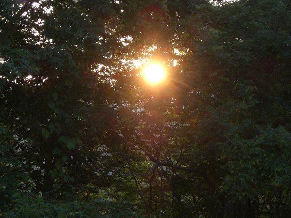 ひらすび牧場の夕日
