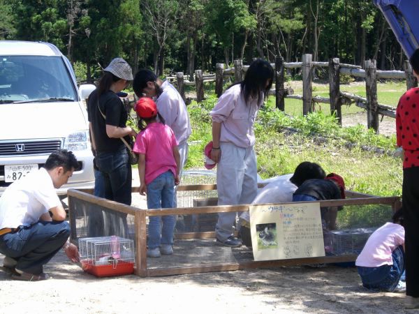 きがる♪に乗馬体験会を開催中です
