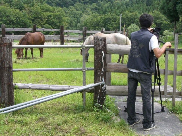 ひらすび牧場がＮＣＶで流れます