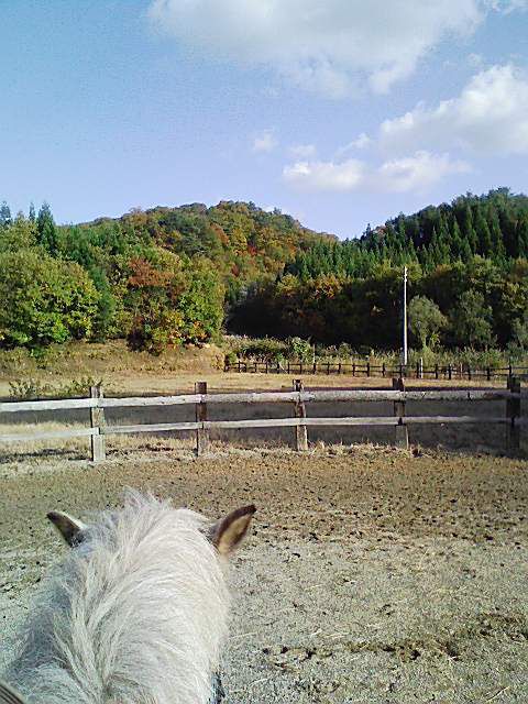 馬上からの秋景色