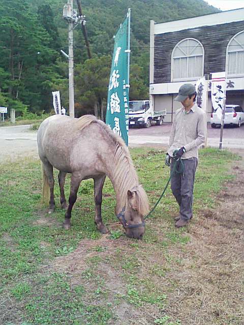 流鏑馬に復活！