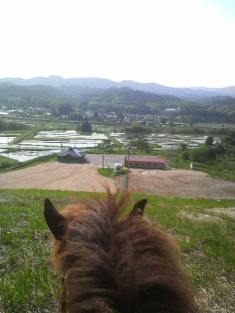 久しぶりのお天気で