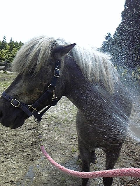 こんな暑い日は…
