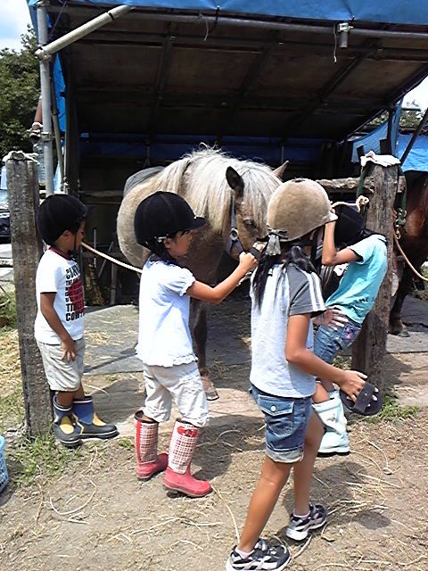 牧場暮らしキャンプのはじまり～