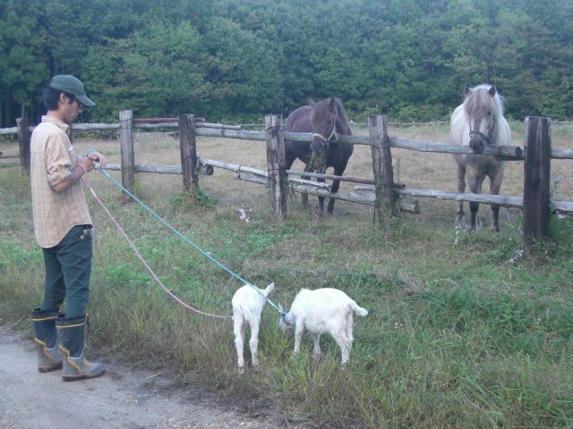 少しずつ、仲良しに…
