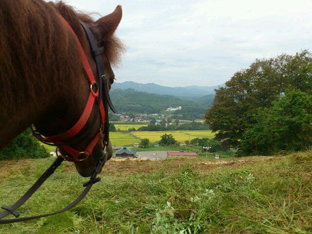 馬目線の写真とともに…１０月の予定です