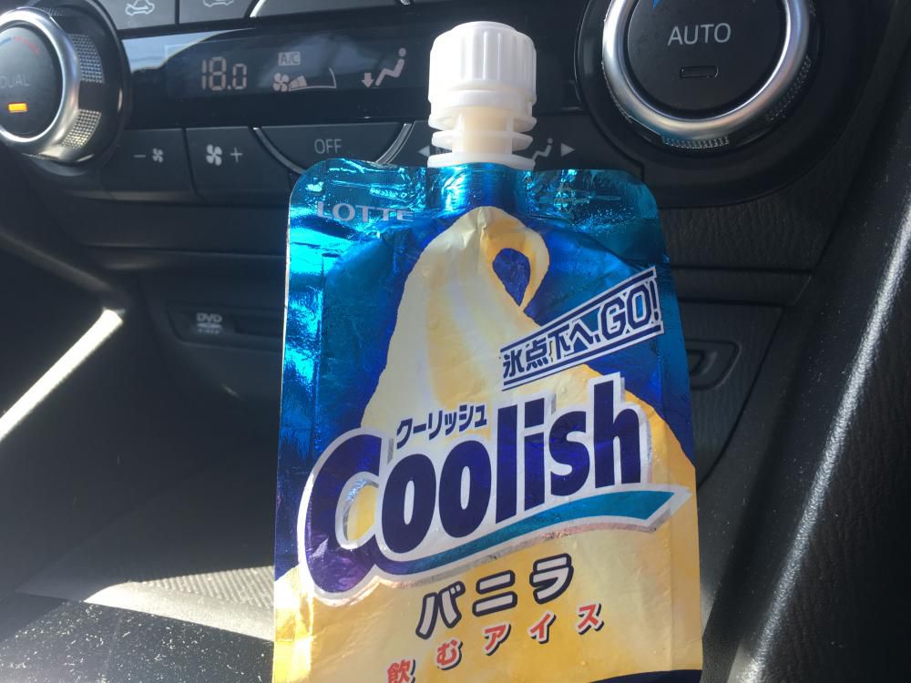 人生初
