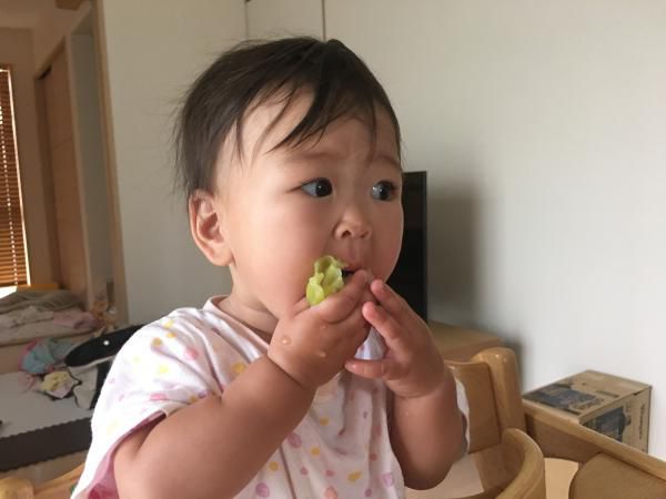 キャベツの汁を吸っています