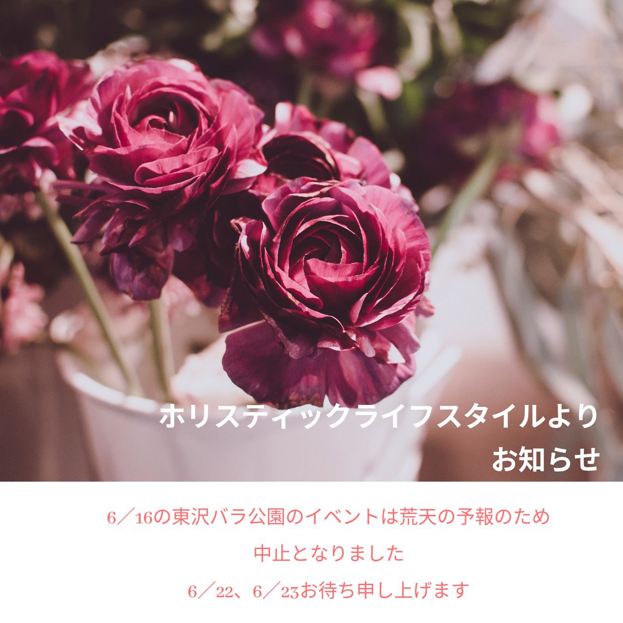 バラ祭りのお知らせ