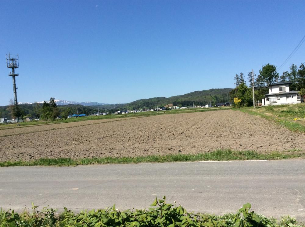 田んぼ 耕しました！