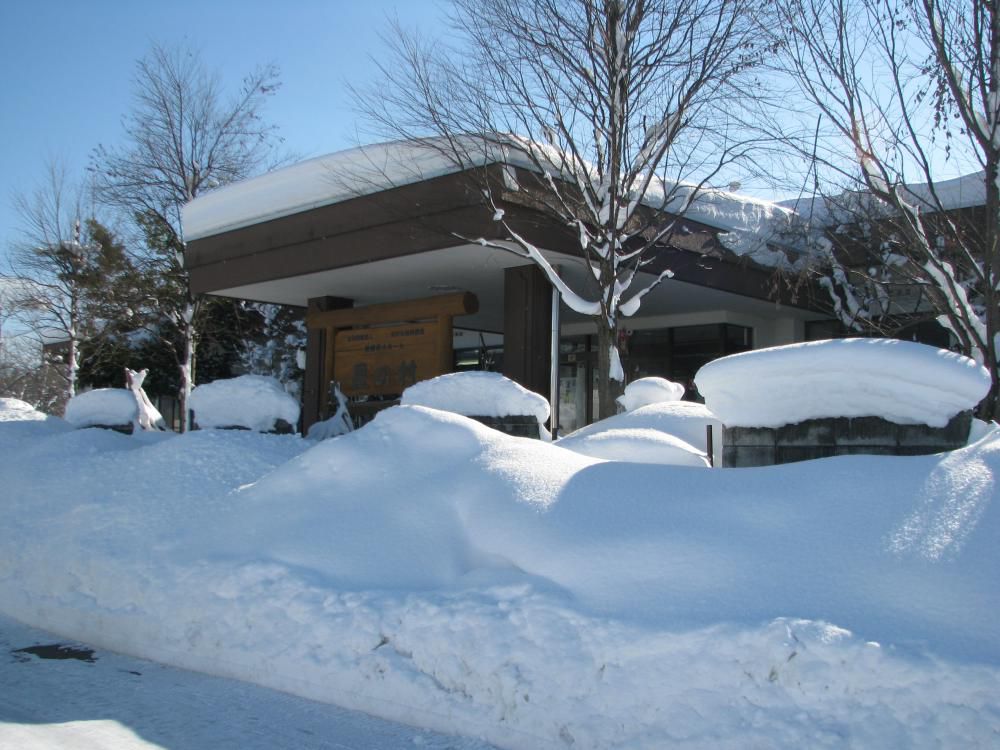 心より御礼申し上げます。