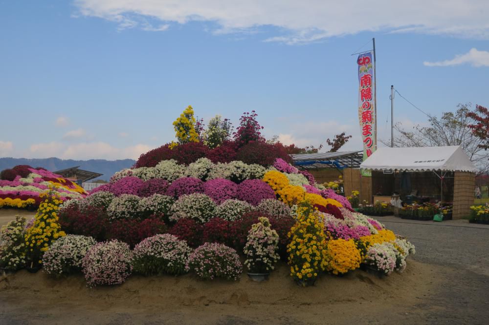 日帰り旅行