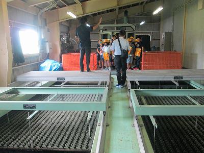 ４年生　社会科見学　浄水場・下水処理場