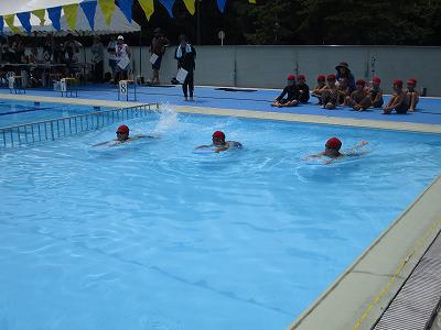 水泳発表会・引き渡し訓練