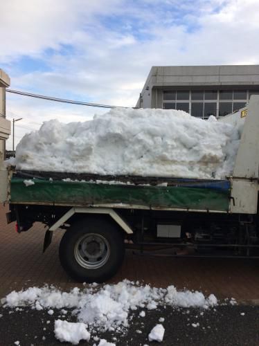 雪、千倉小到着