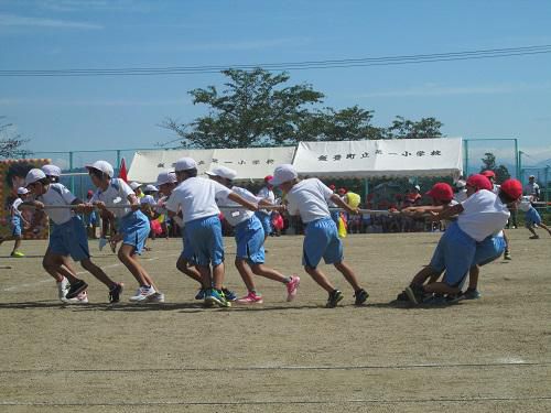 大運動会　輝いた一っ子魂！２