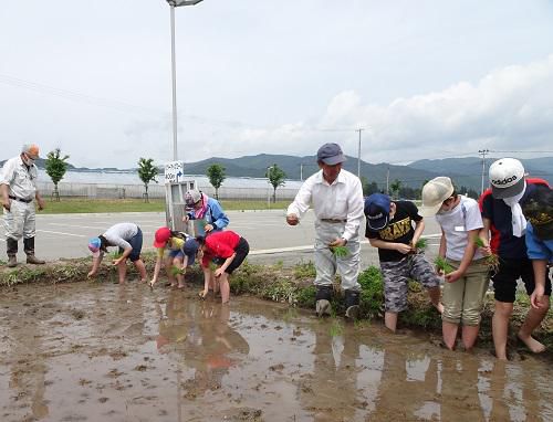田植え