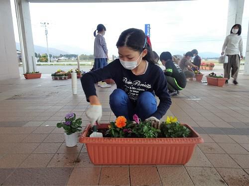 緑化事業　花植え