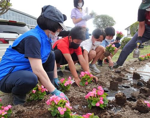 人権の花