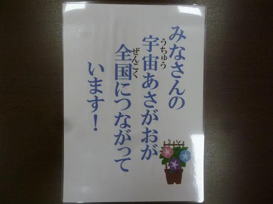 宇宙アサガオが確かにつながっています！