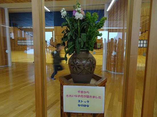 千倉から花が届きました！～一足早い春です！～